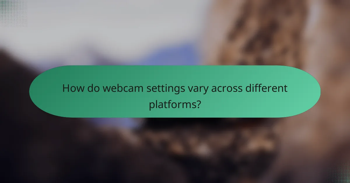 How do webcam settings vary across different platforms?