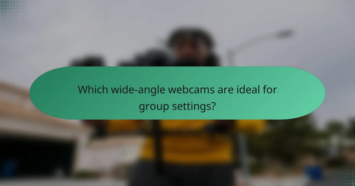 Which wide-angle webcams are ideal for group settings?